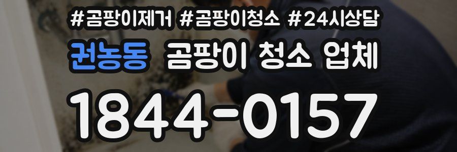 권농동 곰팡이 청소 업체