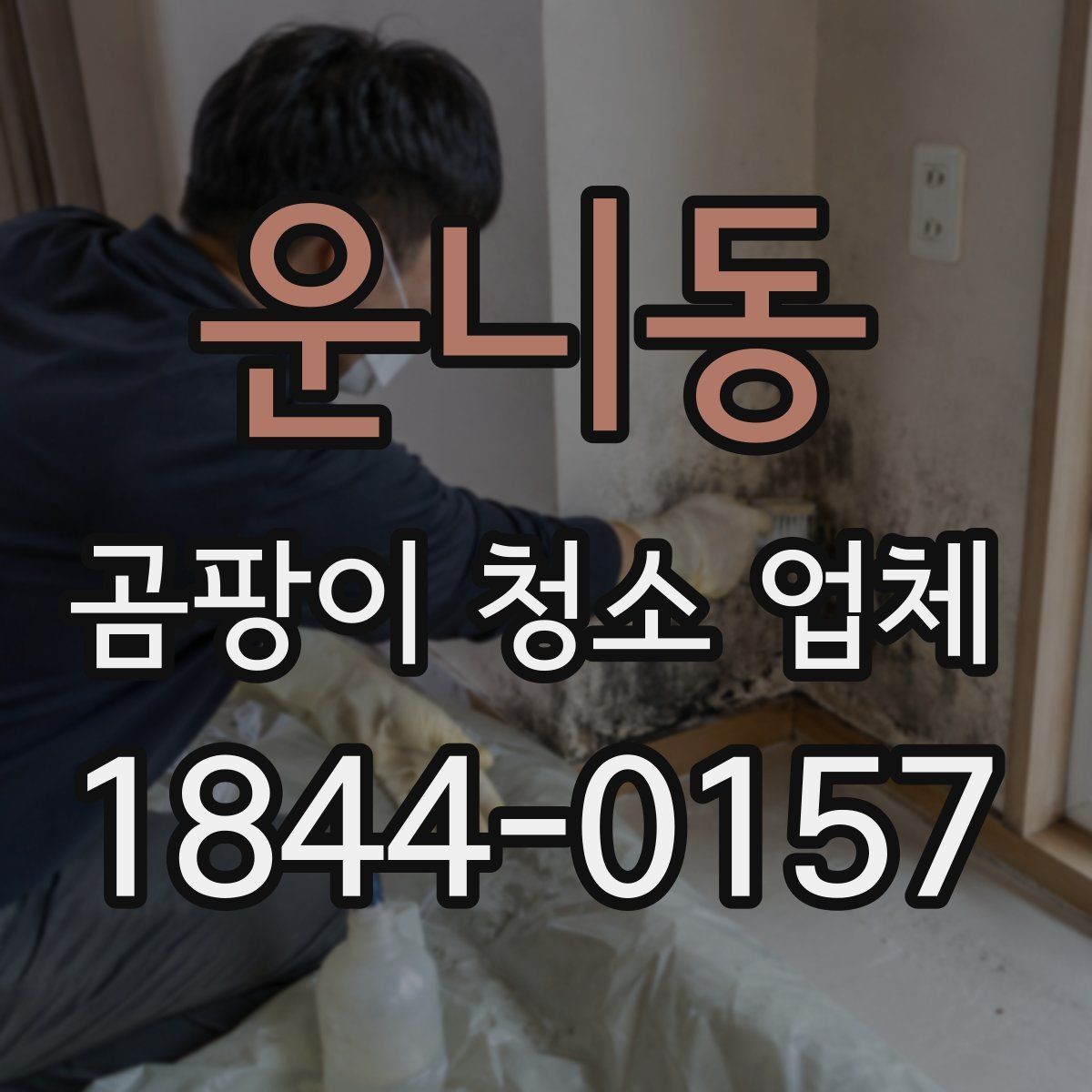 운니동 곰팡이 청소 업체 알레르기 걱정이 있다면 먼저 볼 점