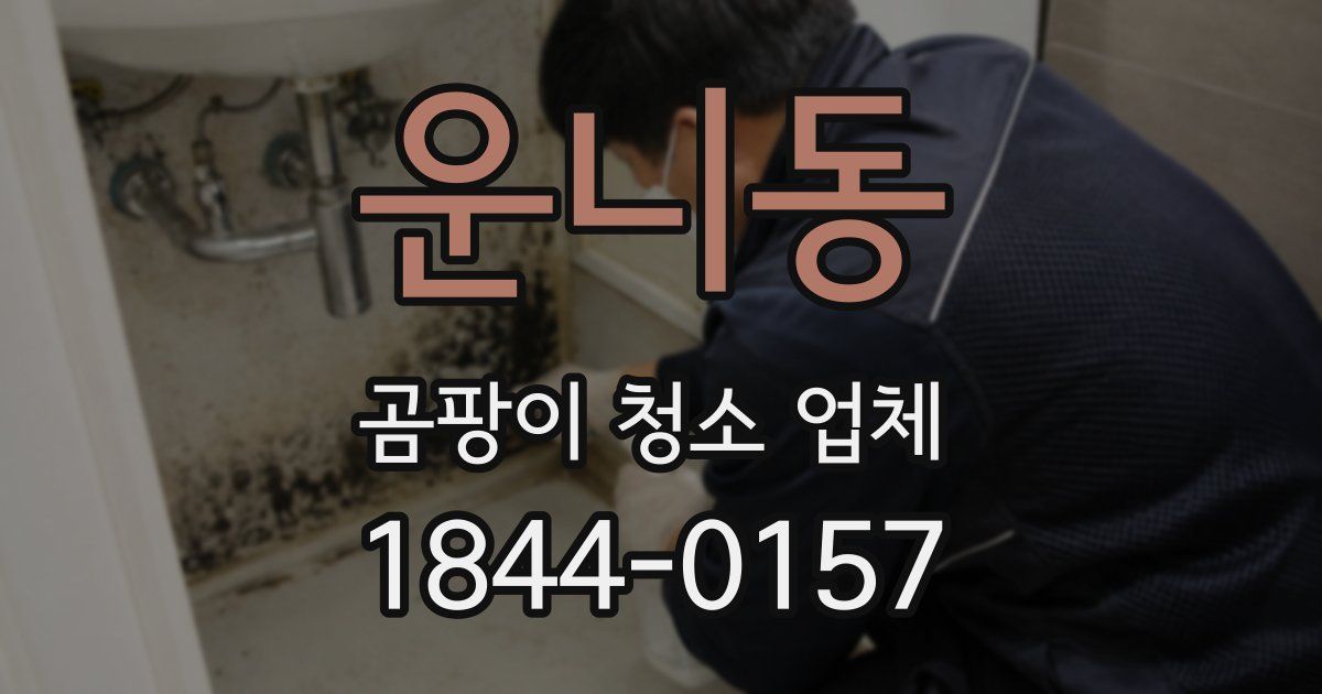 운니동 곰팡이 청소 업체