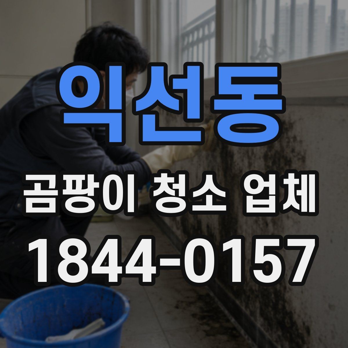 익선동 곰팡이 청소 업체 침대 아래 숨어 있는 오염까지 보는 이유