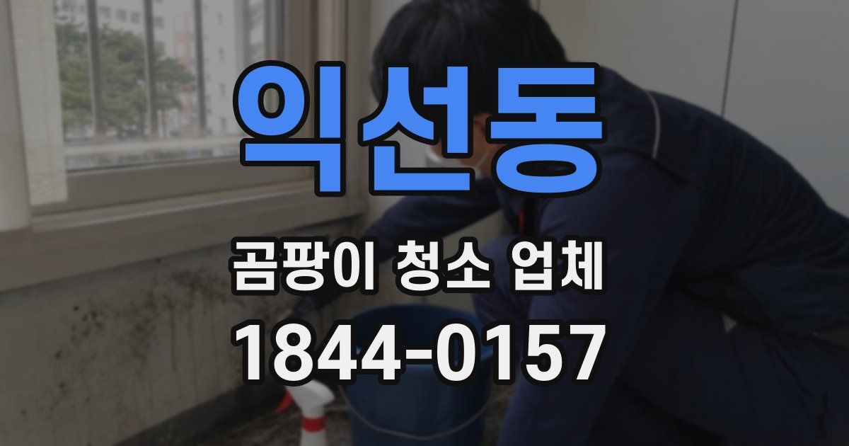 익선동 곰팡이 청소 업체