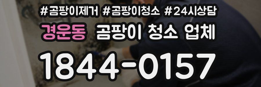 경운동 곰팡이 청소 업체