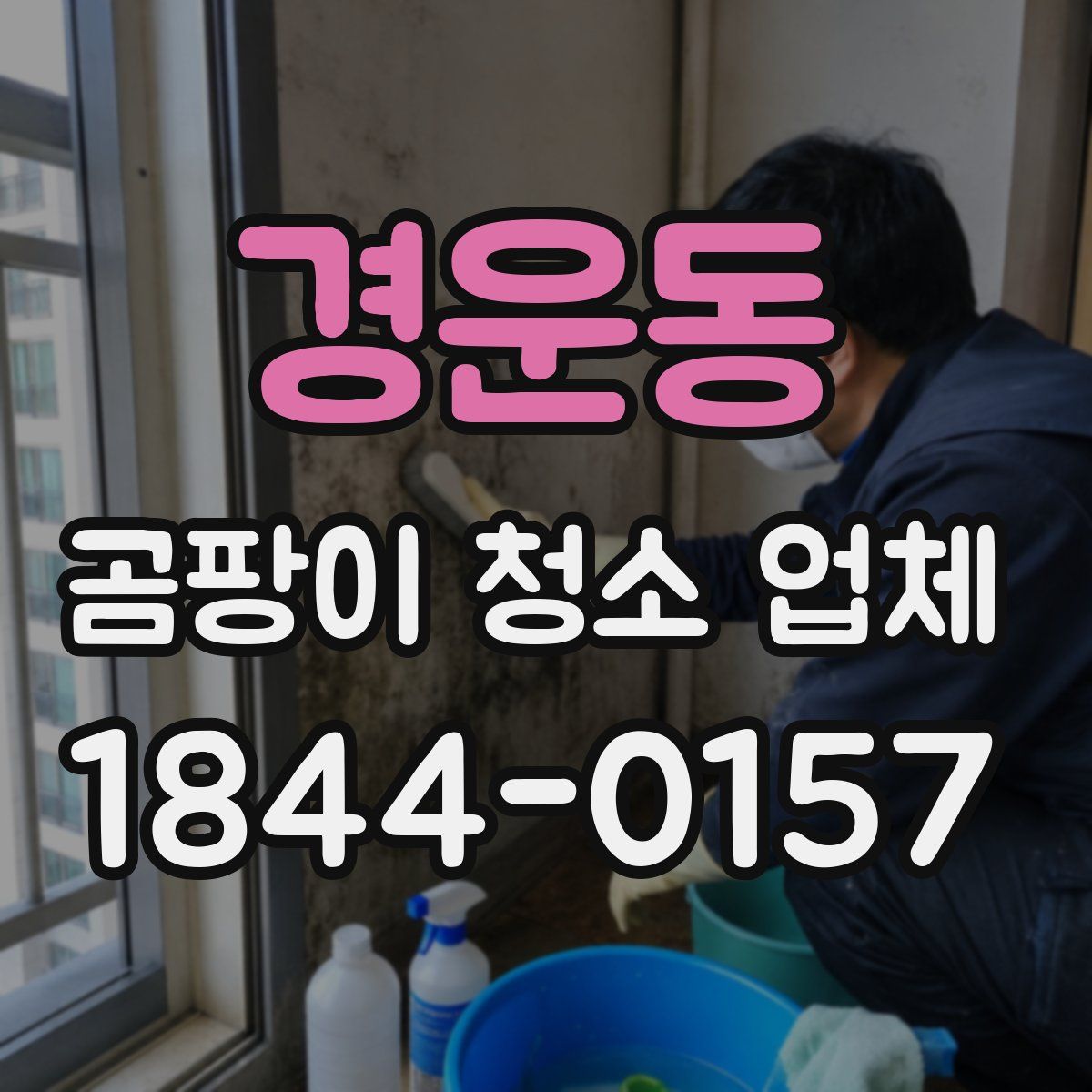 경운동 곰팡이 청소 업체