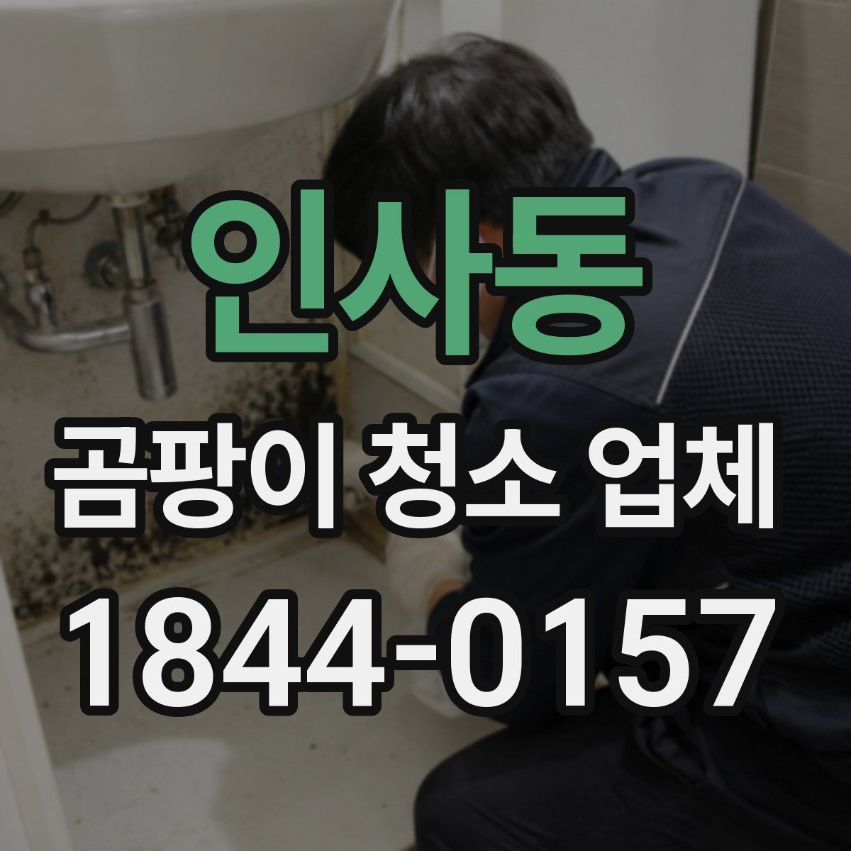 인사동 곰팡이 청소 업체 청소 장비만으로 해결되는 사례와 아닌 경우