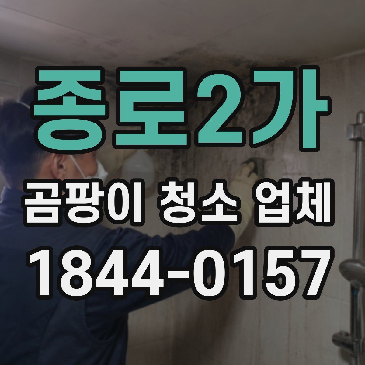 종로2가 곰팡이 청소 업체 알레르기 걱정이 있을 때 살필 기준