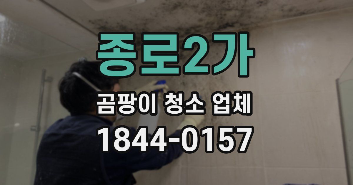 종로2가 곰팡이 청소 업체