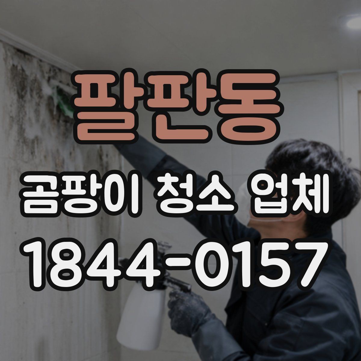 팔판동 곰팡이 청소 업체 민감한 사람을 고려한 작업 방식