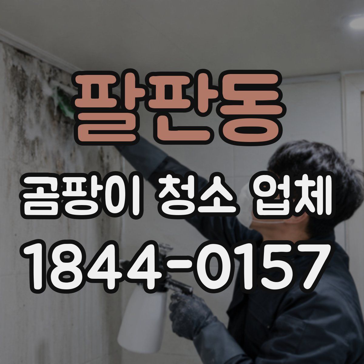 팔판동 곰팡이 청소 업체