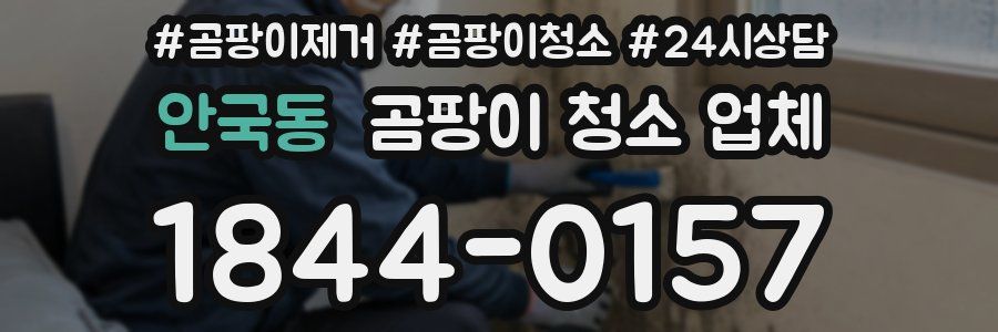 안국동 곰팡이 청소 업체