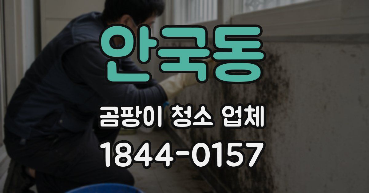 안국동 곰팡이 청소 업체