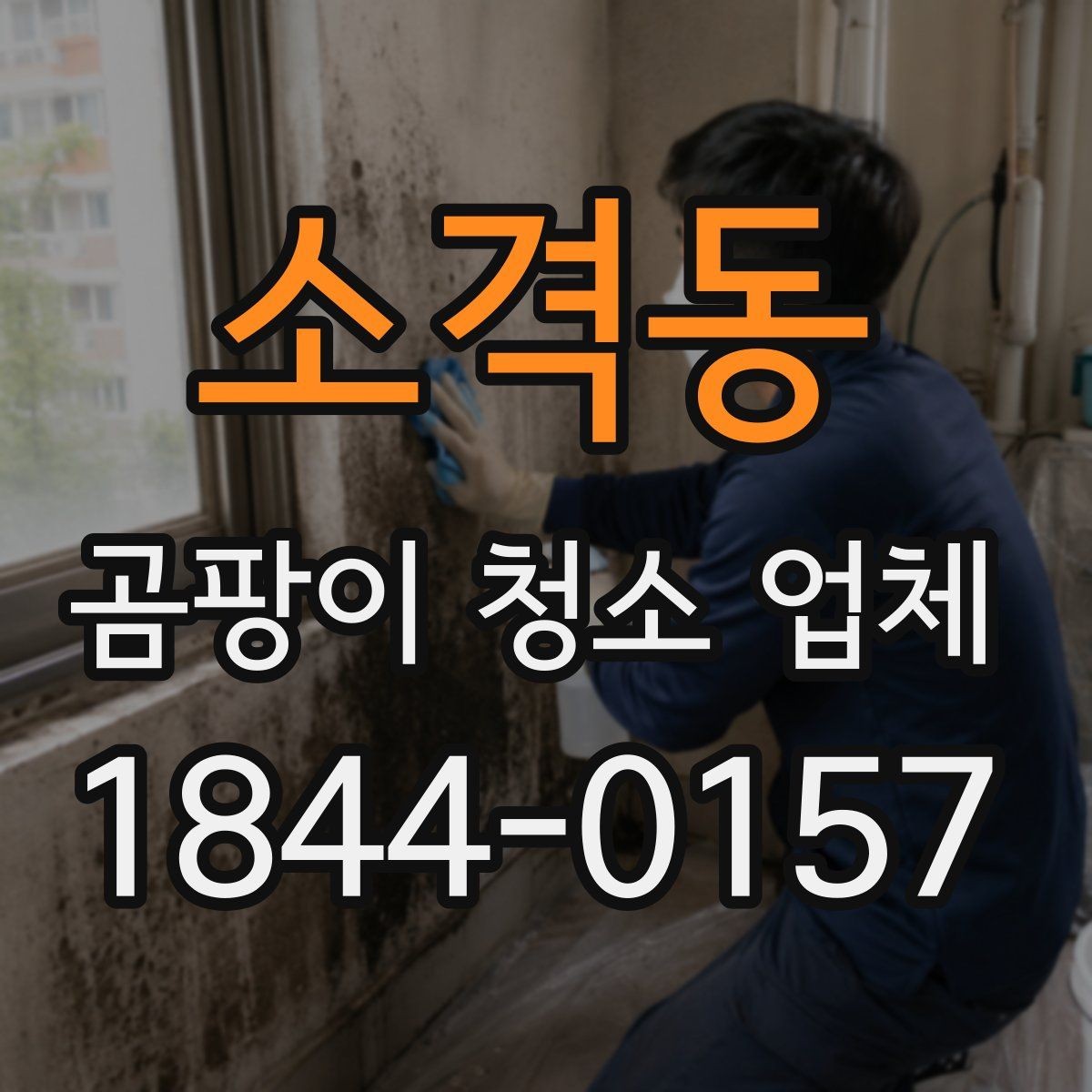 소격동 곰팡이 청소 업체 아이와 반려동물 공간에서 더 살펴볼 점