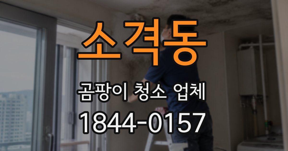 소격동 곰팡이 청소 업체