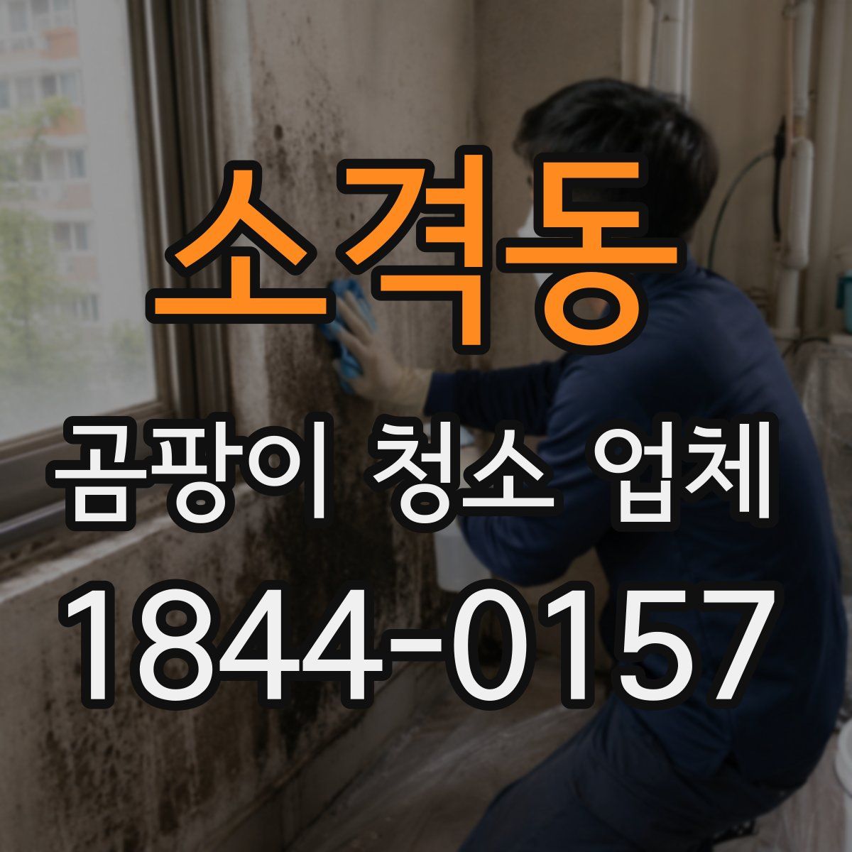 소격동 곰팡이 청소 업체