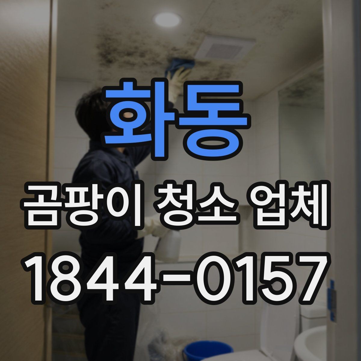 화동 곰팡이 청소 업체 현장 진단으로 보는 오염 깊이