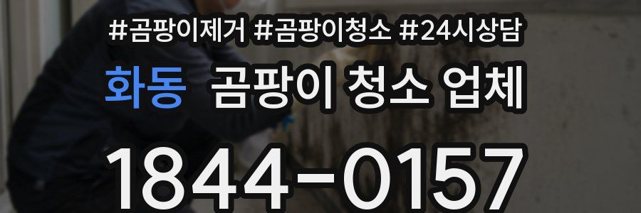 화동 곰팡이 청소 업체