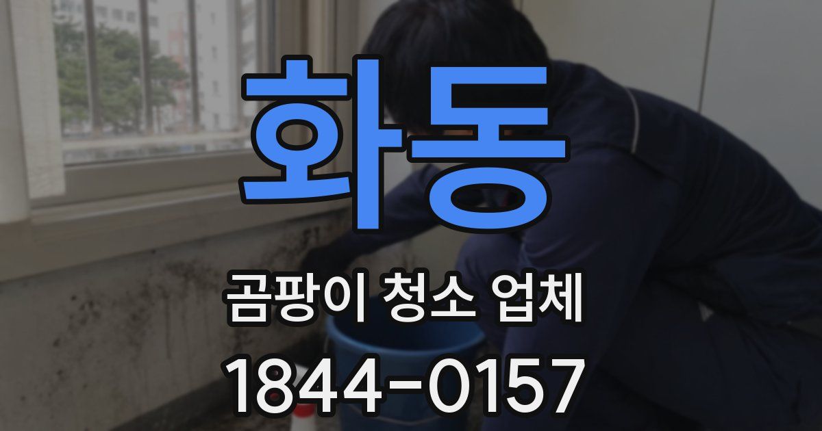 화동 곰팡이 청소 업체