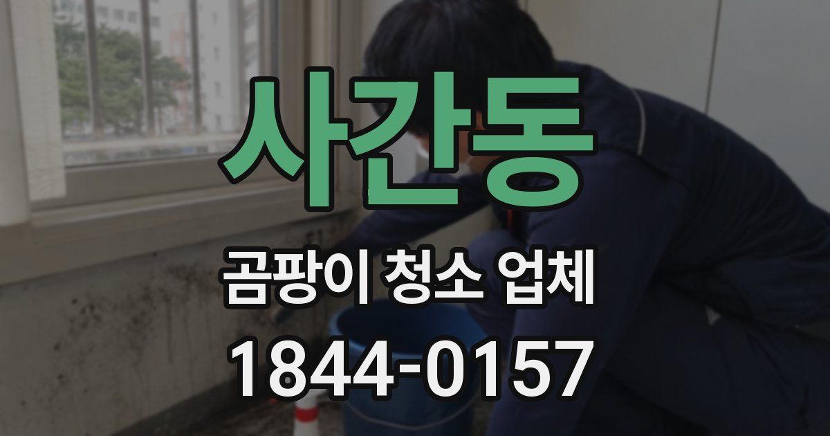 사간동 곰팡이 청소 업체