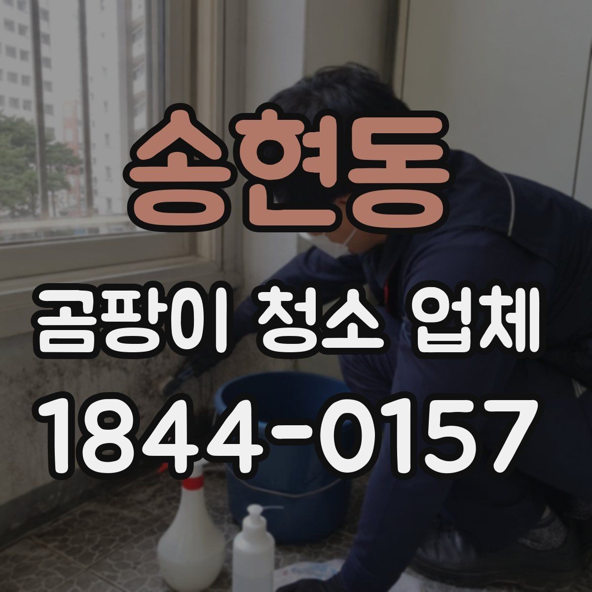 송현동 곰팡이 청소 업체 청소 장비가 잘 맞는 현장과 아닌 현장