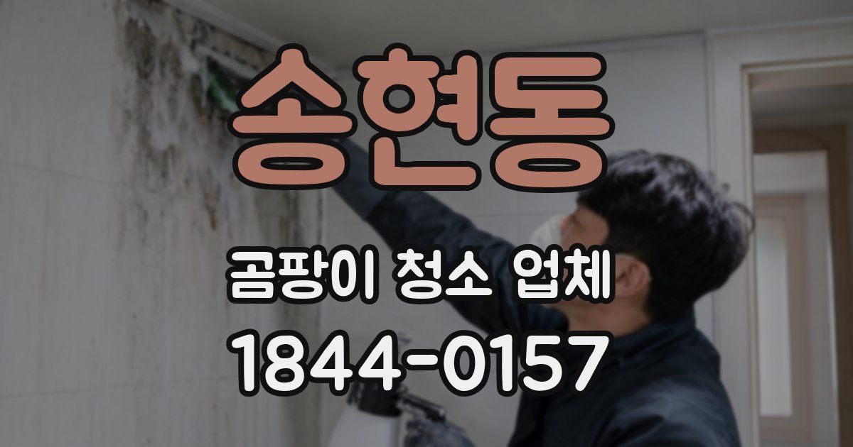 송현동 곰팡이 청소 업체