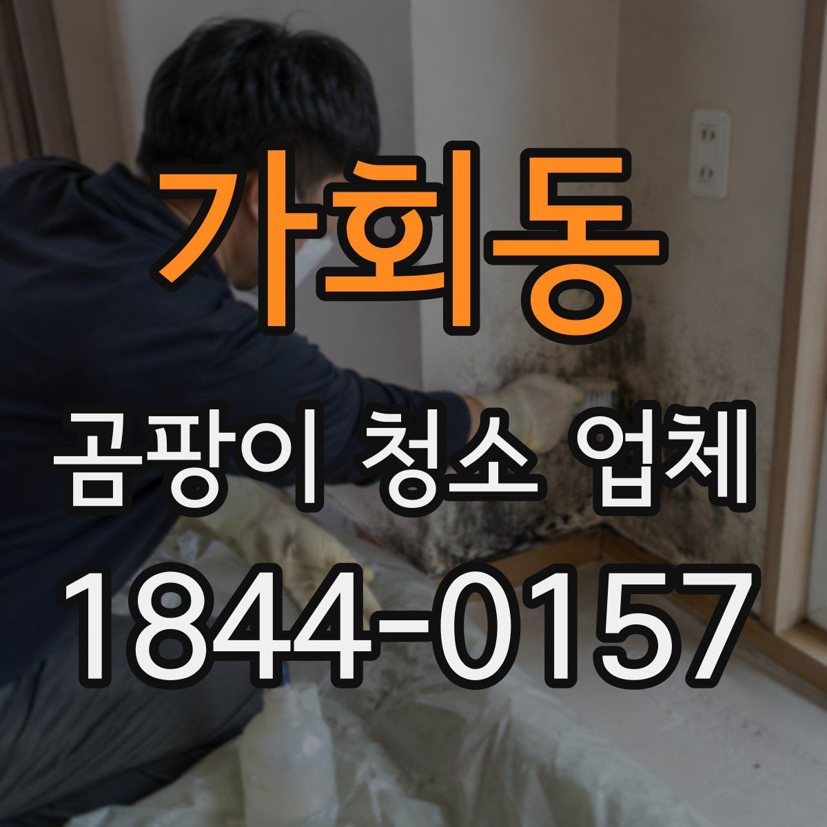 가회동 곰팡이 청소 업체 벽지와 욕실 곰팡이 제거 범위