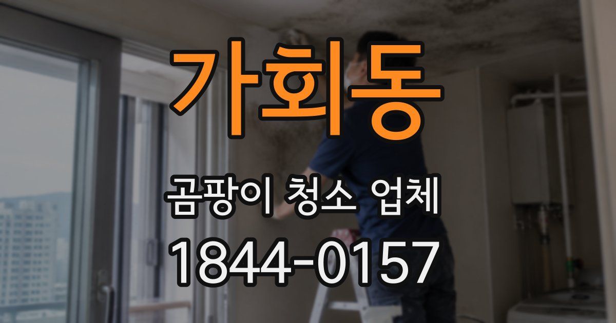 가회동 곰팡이 청소 업체
