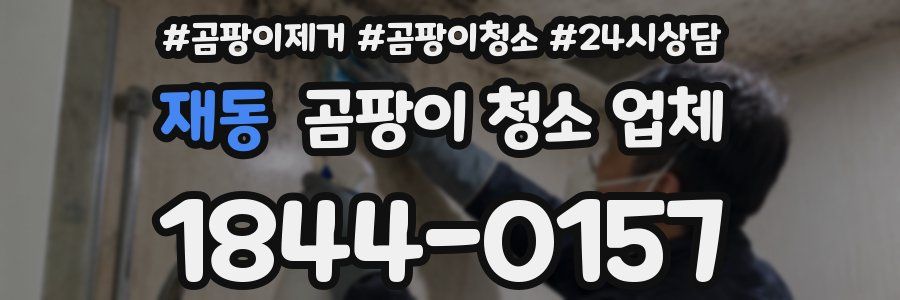 재동 곰팡이 청소 업체