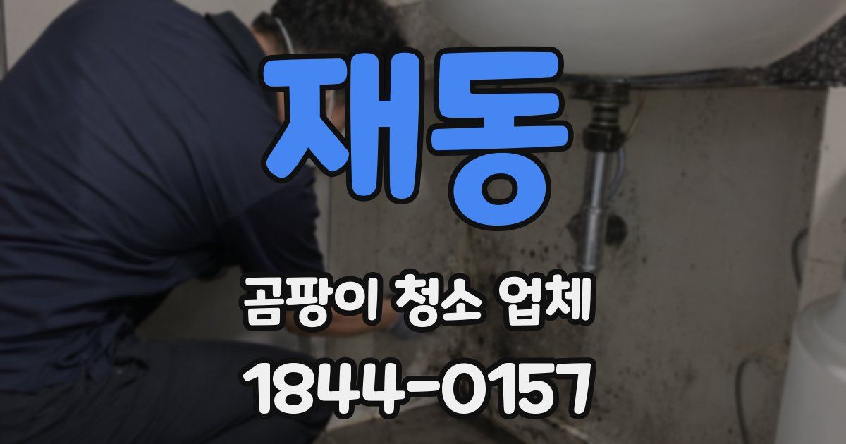 재동 곰팡이 청소 업체