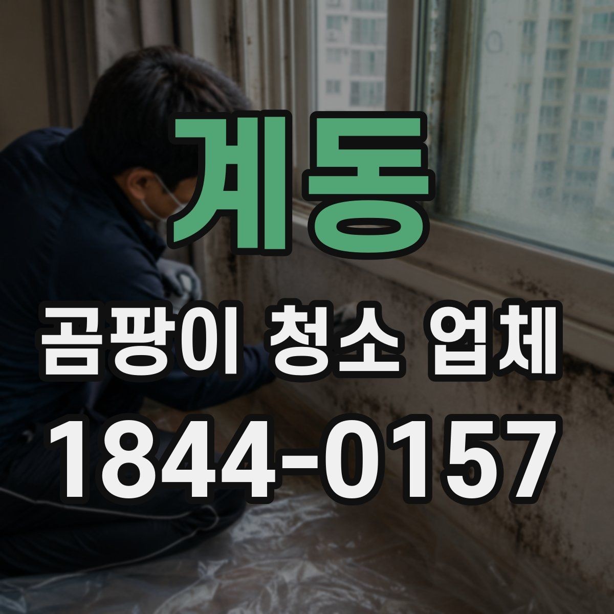 계동 곰팡이 청소 업체 전후 비교 사진이 필요한 이유