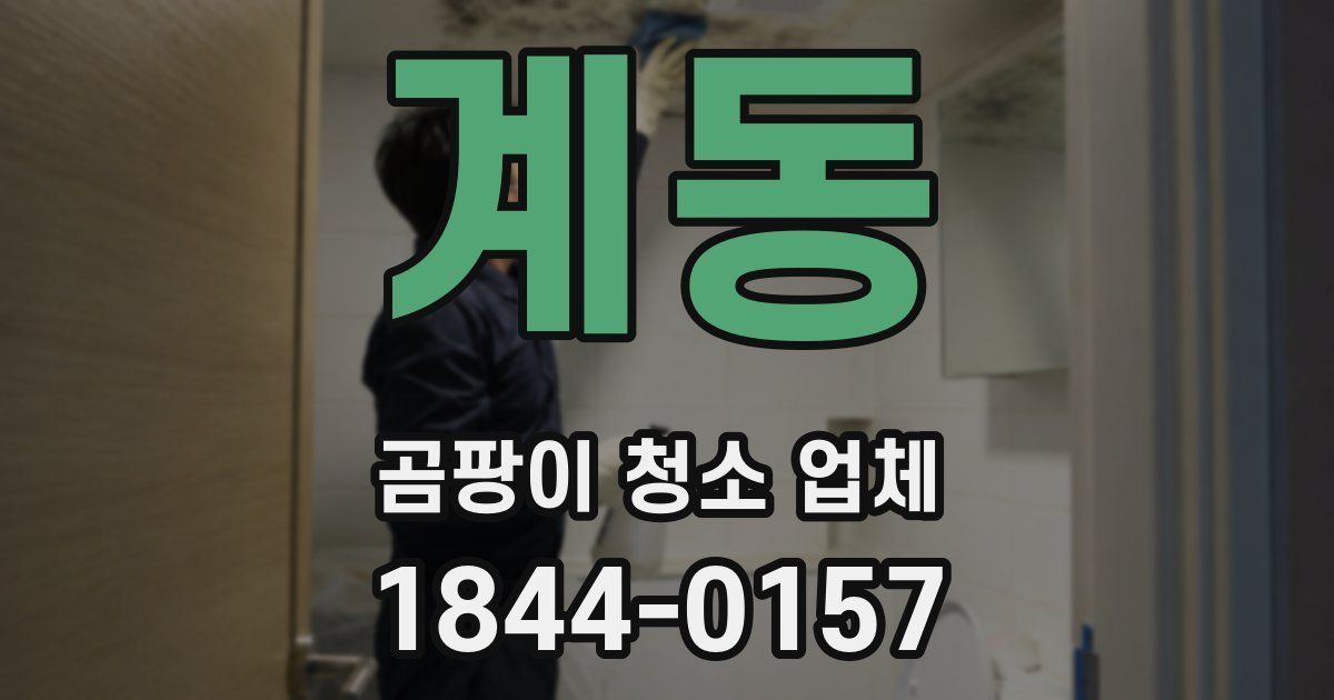 계동 곰팡이 청소 업체
