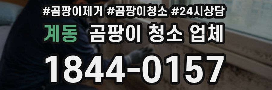 계동 곰팡이 청소 업체
