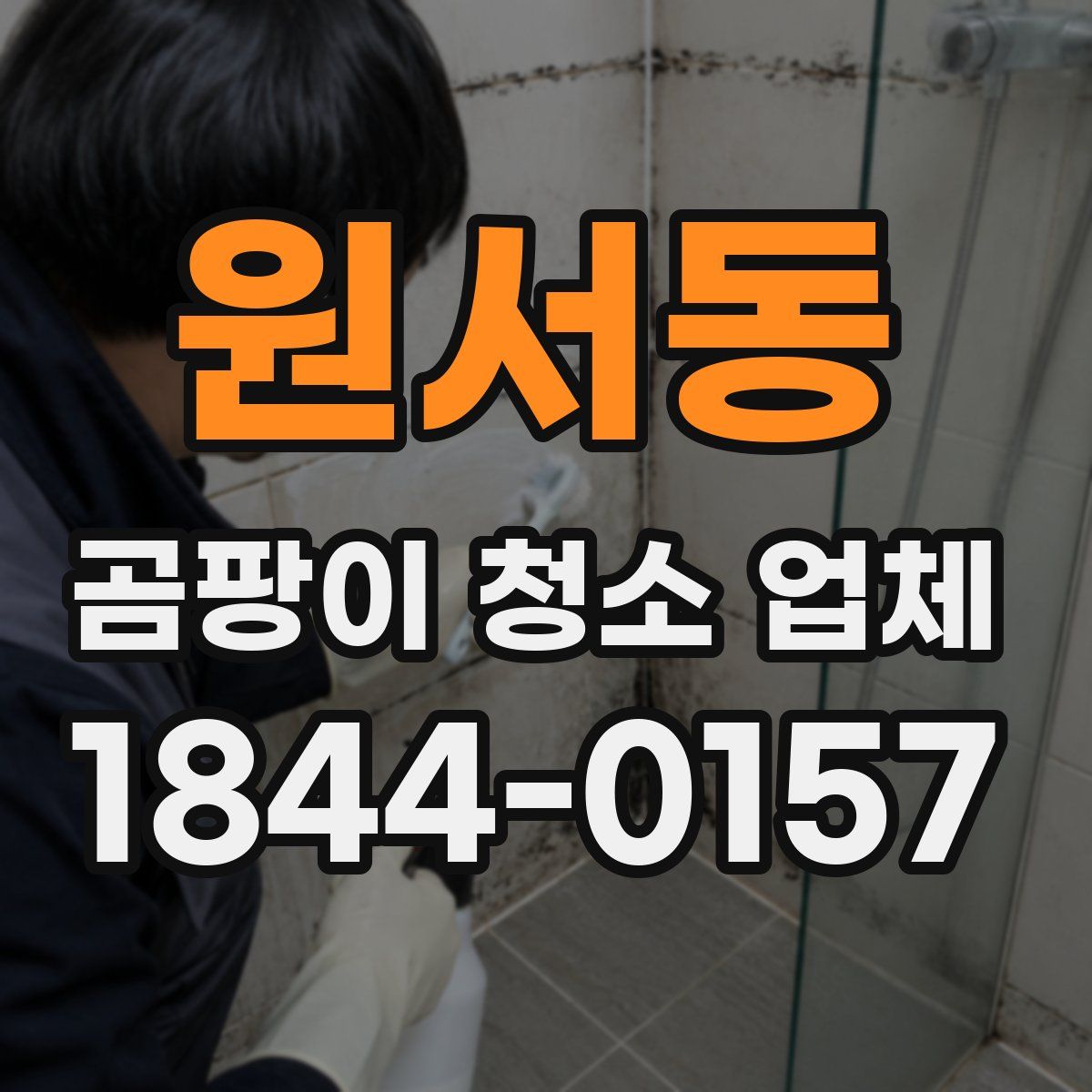 원서동 곰팡이 청소 업체