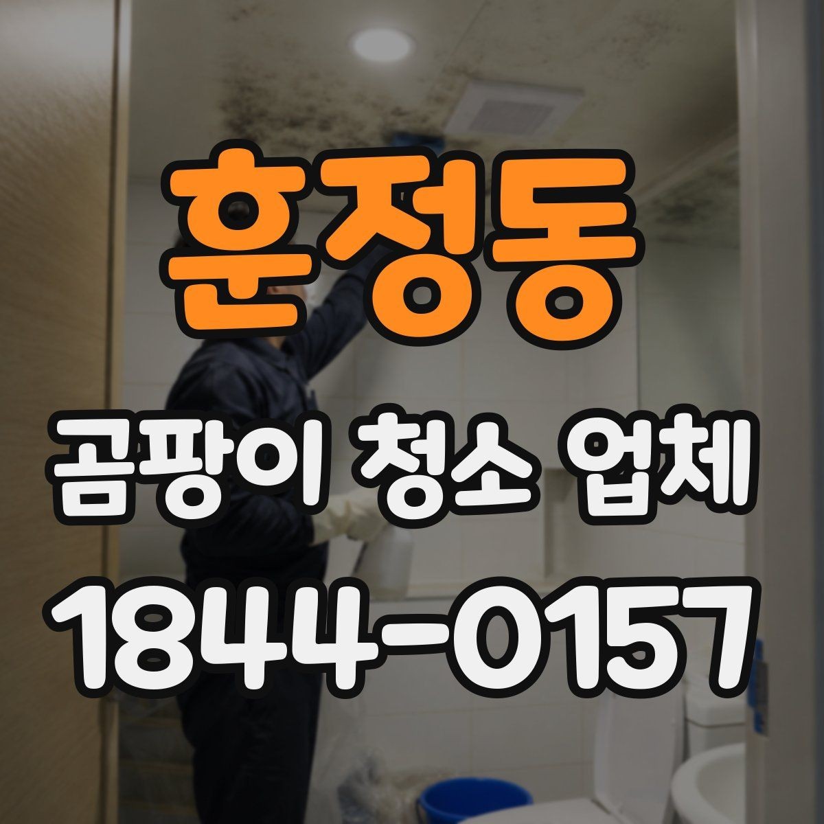 훈정동 곰팡이 청소 업체 방·욕실·주방별 맞춤 방식 정리