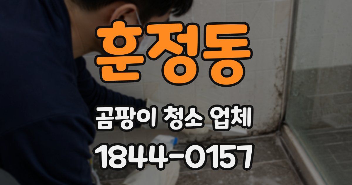 훈정동 곰팡이 청소 업체