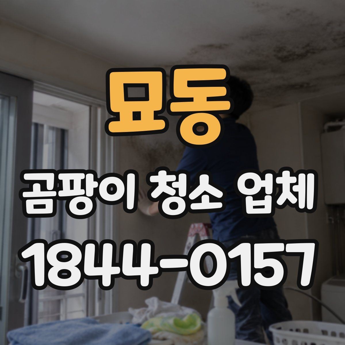 묘동 곰팡이 청소 업체 가구와 커튼 오염이 있을 때 처리 순서