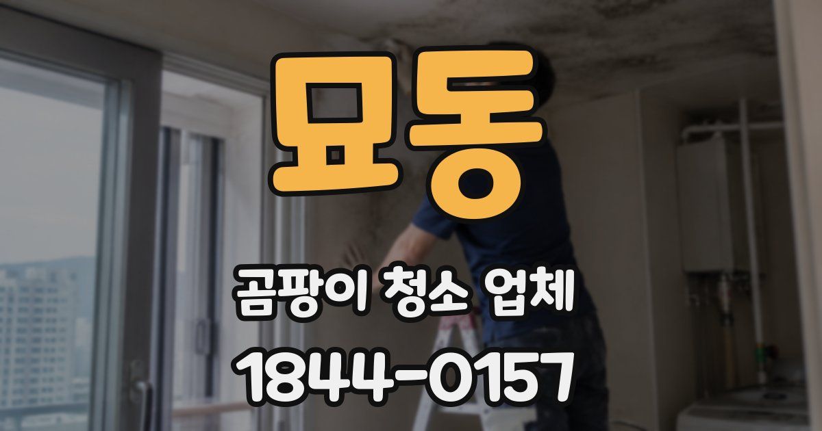 묘동 곰팡이 청소 업체