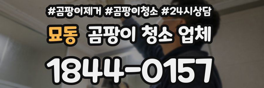 묘동 곰팡이 청소 업체