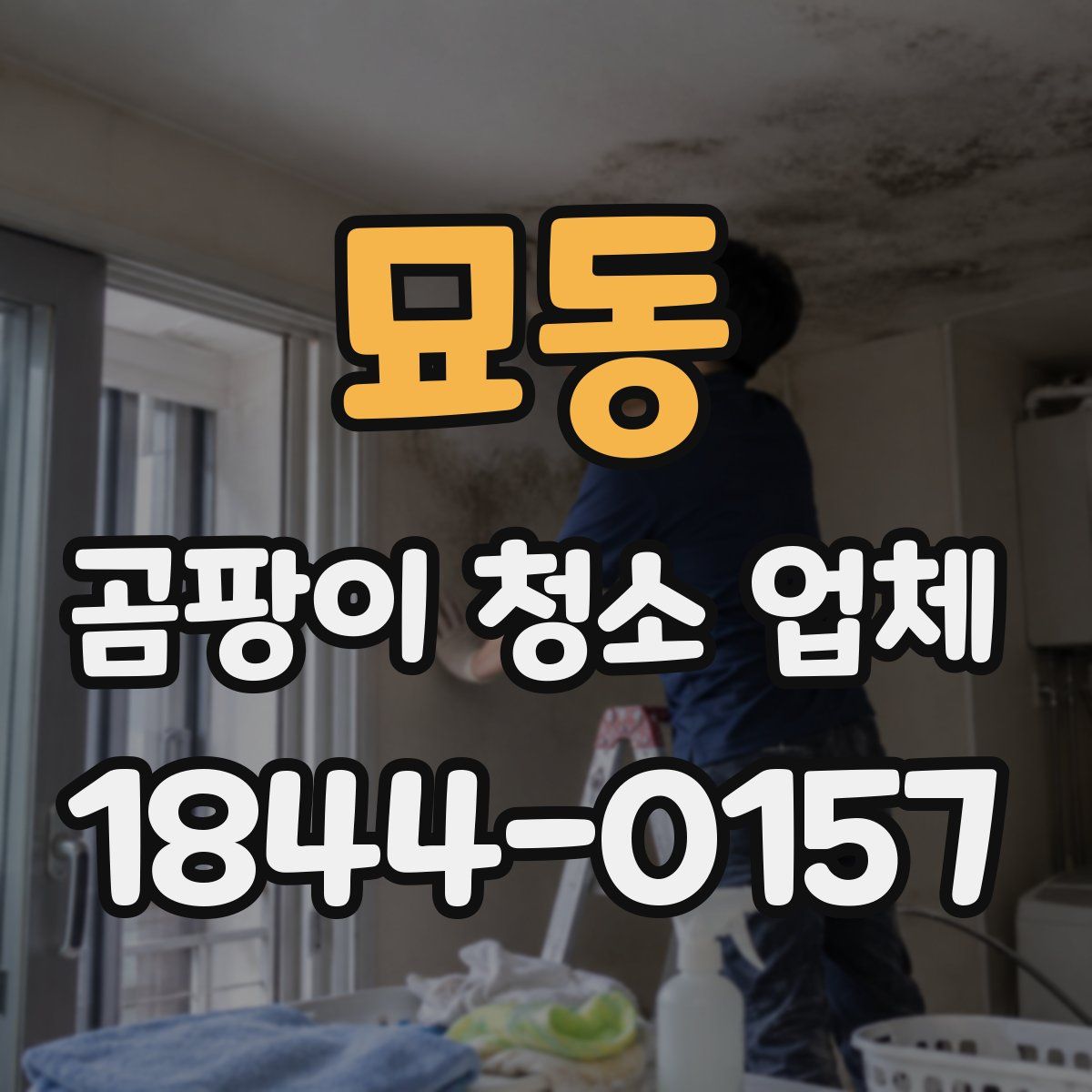 묘동 곰팡이 청소 업체