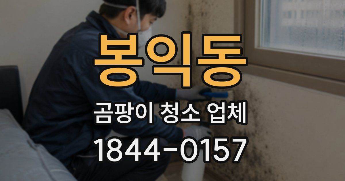 봉익동 곰팡이 청소 업체