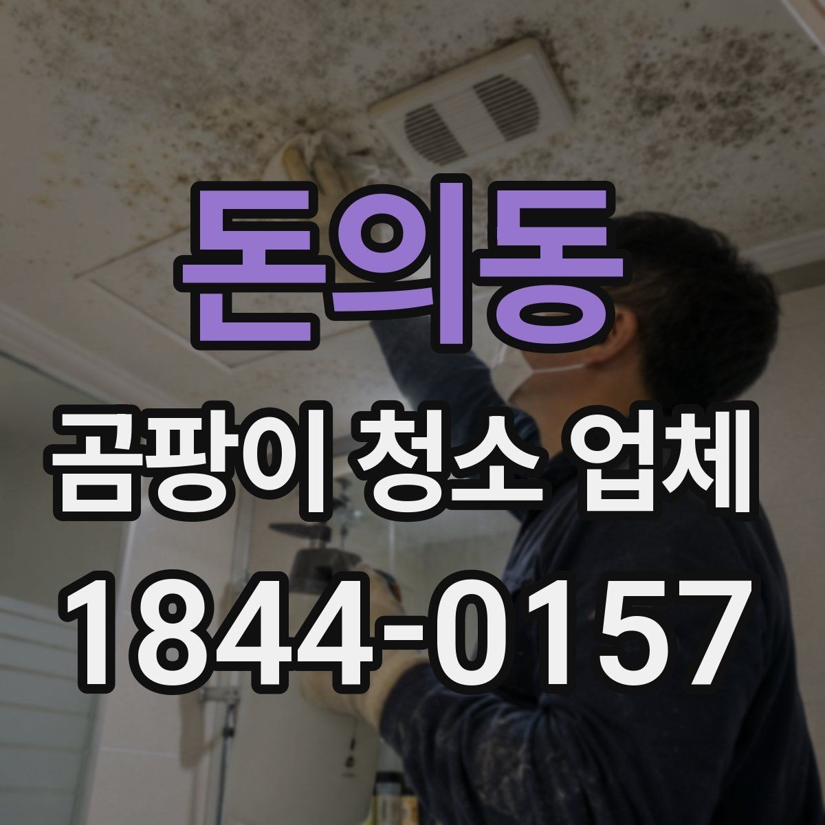 돈의동 곰팡이 청소 업체 작업 범위가 달라지는 견적 체크포인트