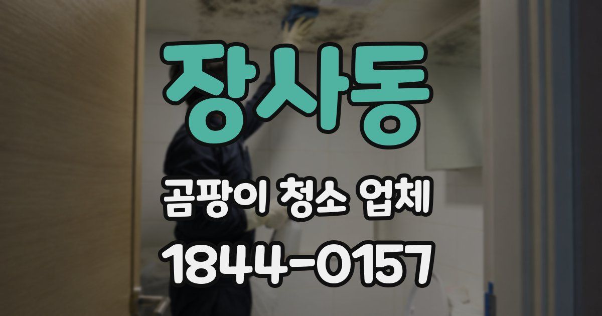장사동 곰팡이 청소 업체