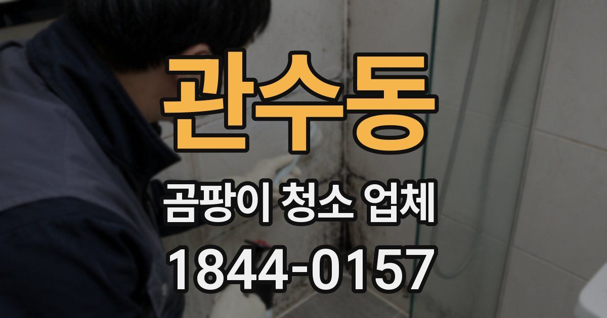 관수동 곰팡이 청소 업체