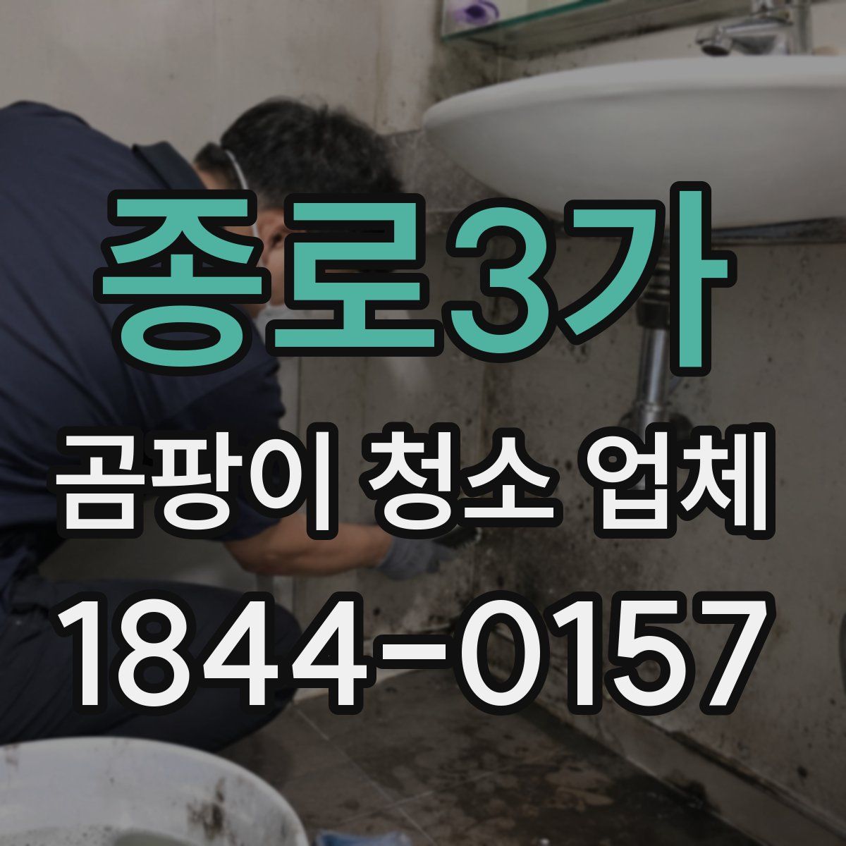 종로3가 곰팡이 청소 업체