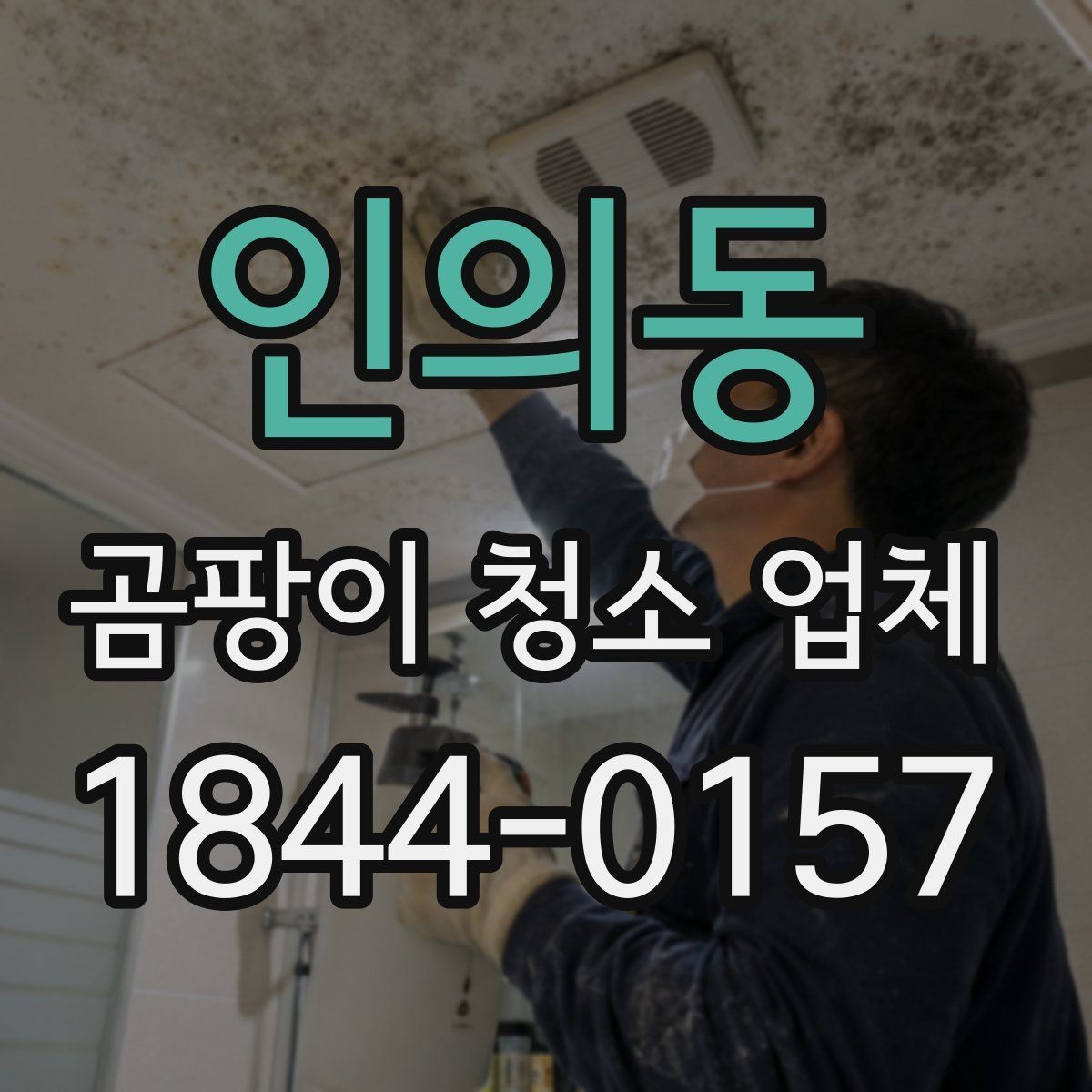 인의동 곰팡이 청소 업체 민감한 공간의 환기와 보호 절차