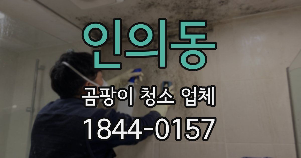 인의동 곰팡이 청소 업체