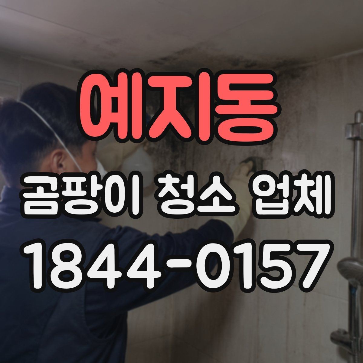 예지동 곰팡이 청소 업체 눈에 보이지 않는 곰팡이까지 점검하는 법