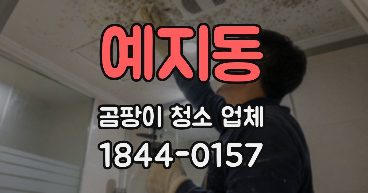 예지동 곰팡이 청소 업체