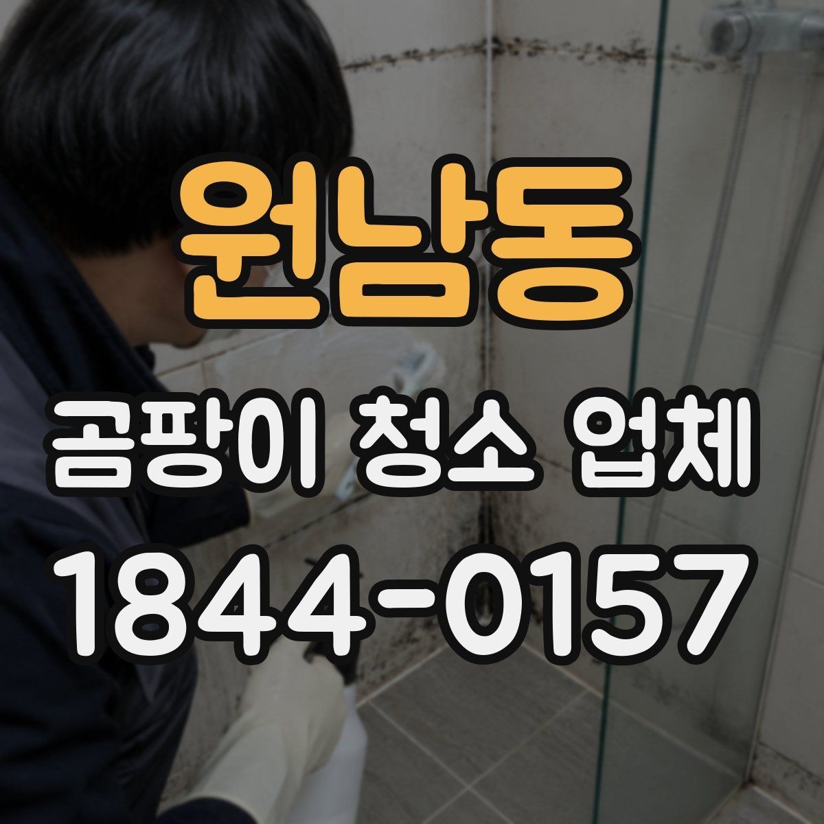 원남동 곰팡이 청소 업체 장비로 가능한 범위와 한계 살펴보기