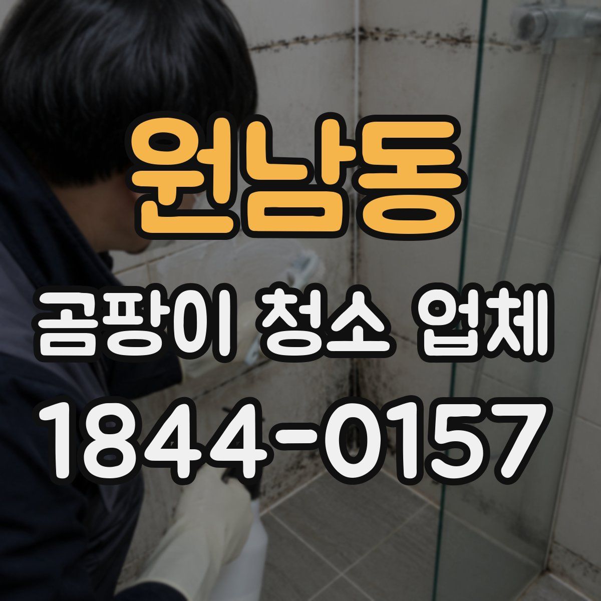 원남동 곰팡이 청소 업체