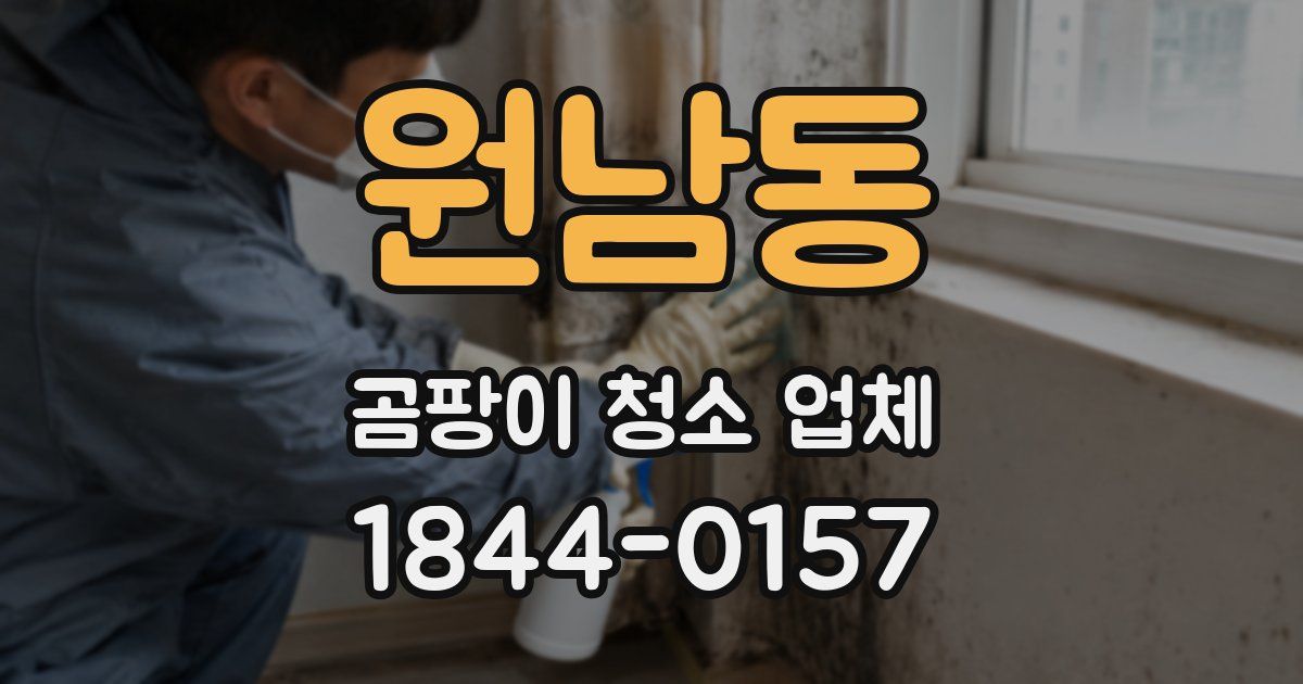 원남동 곰팡이 청소 업체