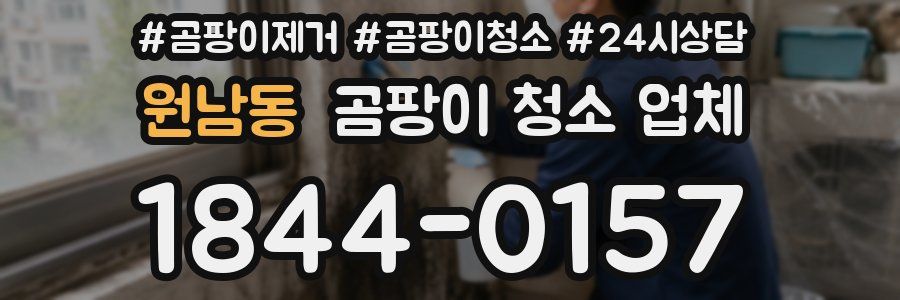 원남동 곰팡이 청소 업체